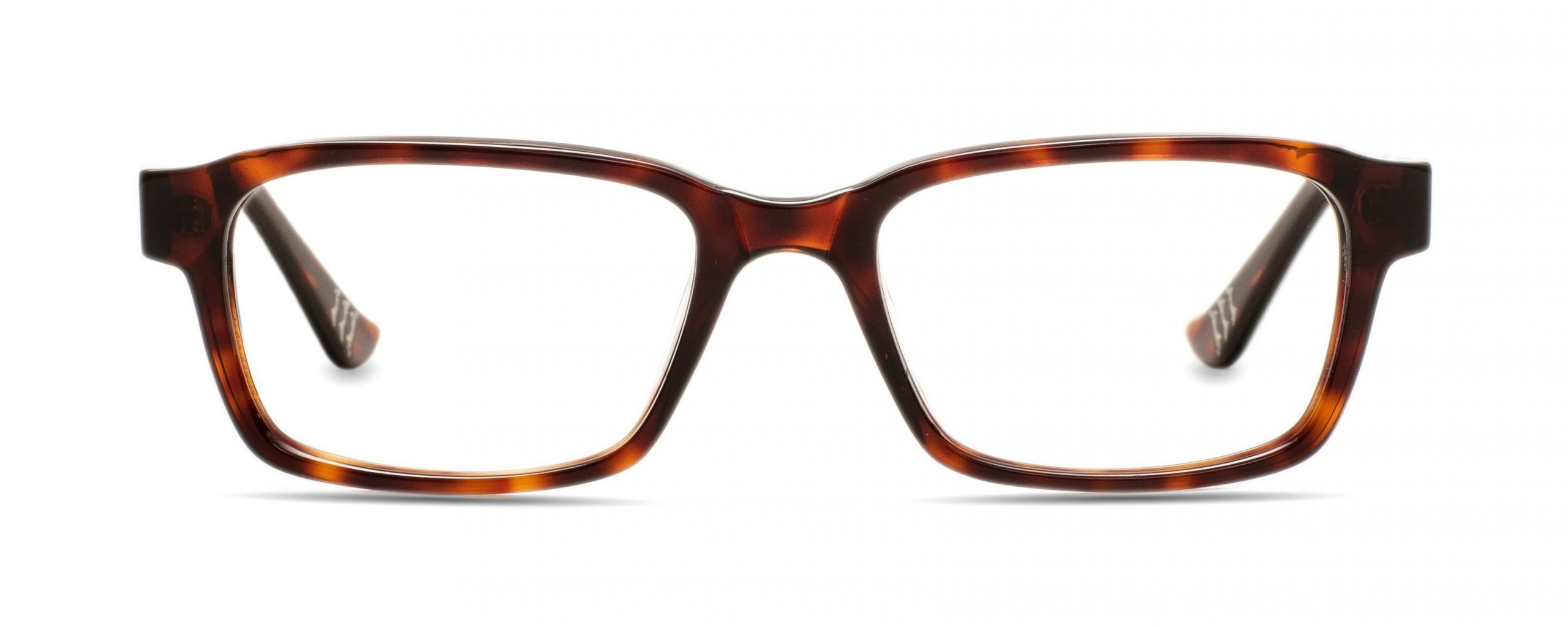 Perry Dark Tort_F